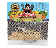 150 Live Ladybugs – Good Bugs – Ladybugs – Guaranteed Live Delivery!
