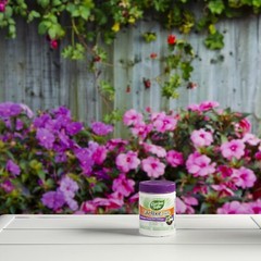 2 Pack Garden Safe Takeroot Rooting Hormone, New Plants Growth Powder – 2 Oz