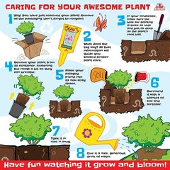 1G Silverado Sage Plant Shrubs Live In Planters For Outdoor Plants Live Live