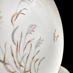 Norcrest AUTUMN BREEZE 10.25” Dinner Plates SET/4 Porcelain Silver Rim VTG Japan