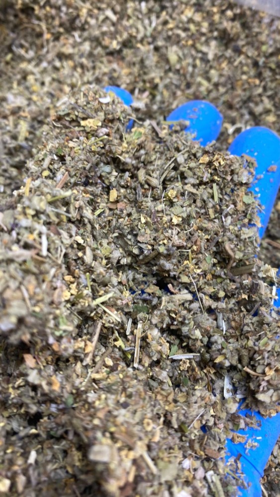 Elderflower Skullcap Passionflower Wild Lettuce Catnip Marshmallow Mullein no.76