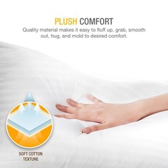 DreamNorth Premium Gel Pillow Loft, Plush Soft Bed Pillow 2 Pack, Queen Size
