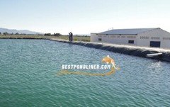 Pond liner 30 Mill- HDRPE 20′ x 20′ Strong & Durable,Options Safe, Free shipping