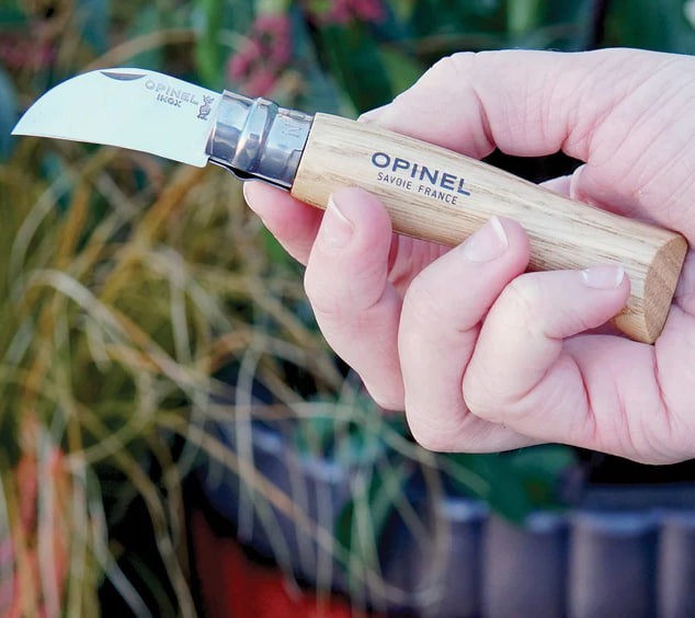 CHESTNUT & GARLIC KNIFE