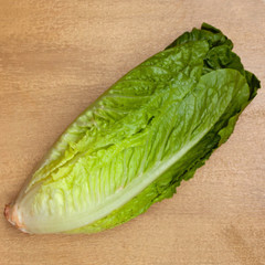 Fresh Crisp Giant Caesar Romaine Lettuce Seeds| Heirloom Non-GMO | Vegetables