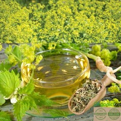 Organic LADY’S MANTLE Herb Tea Dried Alchemilla Vulgaris Wild Harvest 25 – 200g
