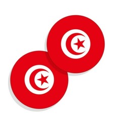 Tunisia Flag Stickers Flag Decals Round Indoor Outdoor Circles Tunisia 4 pack