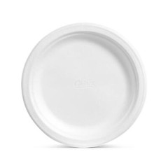 Chinet Classic White 10-3/8″ Dinner Plates (165 ct.) FREE SHIPPING
