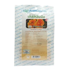 Ganoderma Lucidum 100 Tea Bags Thai Reishi Lingzhi Mushroom Herbal Thanyaphorn