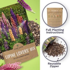 Bulk Lupine Mix Wildflower Seeds 1/4 Pound Bag – Over 4500 Untreated Annual a…