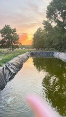 35×60 Pond Liner, durable,strong, waterproof,fish safe, HDRPE, Free Shipping!