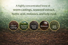Worm Castings Plant Juice – Concentrated Soil Amendment