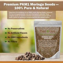 400 Moringa Oleifera Seeds 2 oz. (2 Pack) WINGLESS Fresh Semillas de Moringa