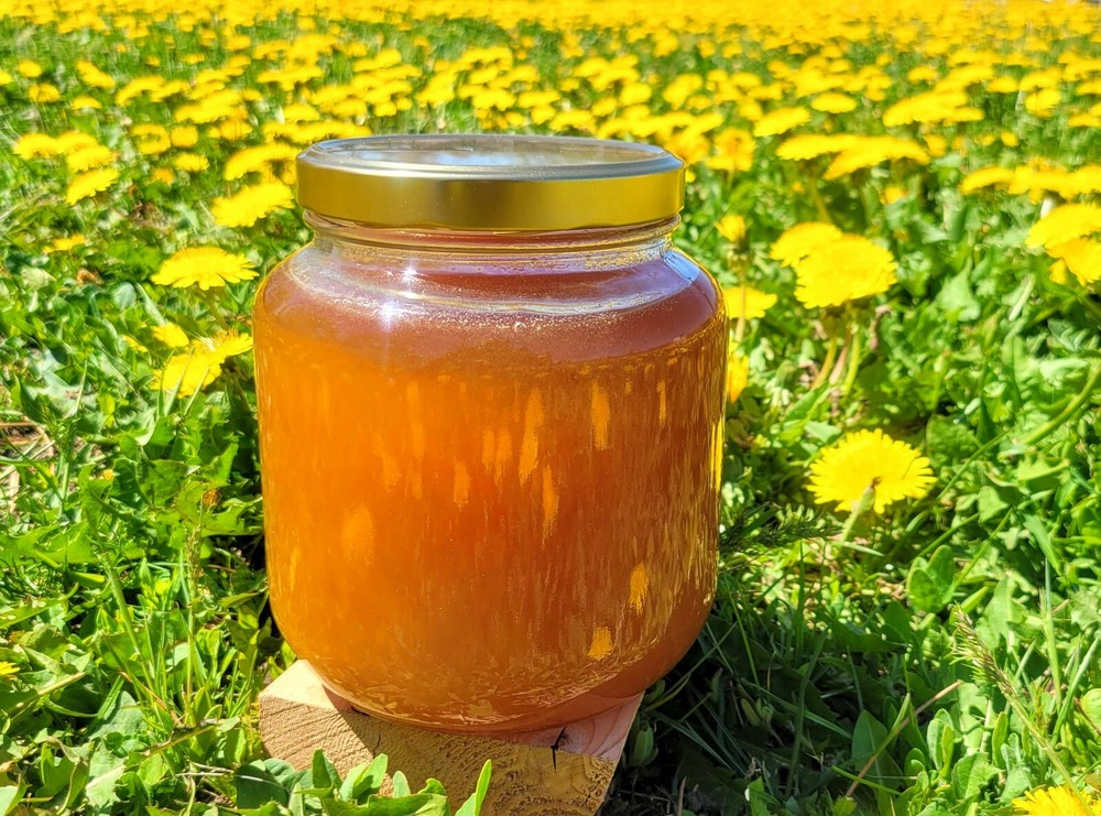 100% Pure Raw Honey with Dandelion! – Now in Glass! – 5 LBS