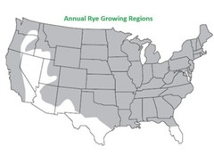 Annual Rye Grass Lawn Seed Cool Season Pasture Forage Cover Crop Erosion