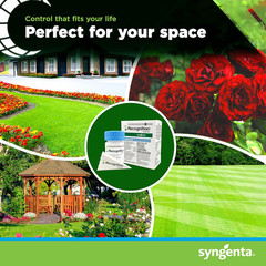 Recognition Herbicide Controls Over 40 Weeds 0.45 oz by Syngenta