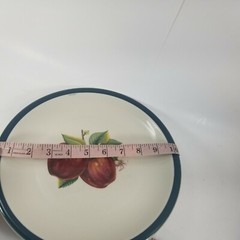 Apple Blossom Casuals China Pearl (4) Dinner 10.25″ and (4) Salad Plates 7.75″