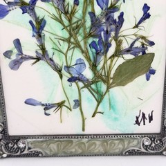 Botanical Art Pressed Blue Flowers In Ornate Metal Frame 6.75 X 4.5 Inch Signed