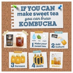 Fermentaholics Organic Kombucha SCOBY with Twelve Ounces of Starter Tea
