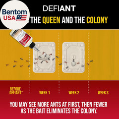 DEFIANT Reusable Ant Traps Indoor Refill (16 Pack) – Effective Liquid Ant Killer