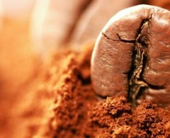 GUATEMALAN ANTIGUA COFFEE BEANS MEDIUM ROASTED 2 POUNDS