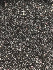 Amaranth OPOPEO Red Flower Edible Leaves & Grain Microgreens Non-GMO 1500 Seeds!