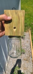 Set of 4 handmade carpenter bee traps 4 for 40 free shipping !!