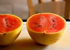 35 Organic Heirloom Golden Midget Watermelon Seeds – Fast Growing – Super Sweet!