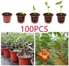 Plastic Plant Flower Pots Nursery Seedlings Pot Plant Container 100Pcs