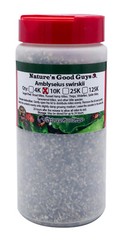 NaturesGoodGuys – Amblyseius Swirskii – Predatory Spider Mite Control