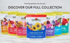 Burpee Wildflower 25,000 Bulk, 1 Bag, 18 Varieties of Non-Gmo Flower Seeds Polli