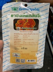 Ganoderma Lucidum 100 Tea Bags Thai Reishi Lingzhi Mushroom Herbal Thanyaphorn