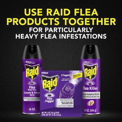 Raid Flea Killer Carpet & Room Spray, Kills hatching 16 Ounce (Pack of 1)