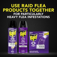 Raid Flea Killer Carpet & Room Spray, Kills hatching 16 Ounce (Pack of 1)