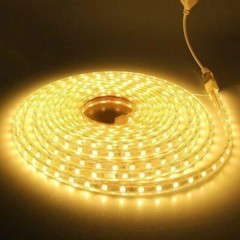 110V 220V 1m-20m Waterproof 5050 LED Flexible Tape Rope Strip Light Xmas Outdoor