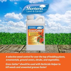 Monterey LG5328 Getter, Post Emergence Herbicide for Grass Weeds, 8 oz