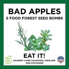 Bad Apples EAT IT!™ Food Forest Bombs – The Seed Bomb That Blasts Grocery Bills!