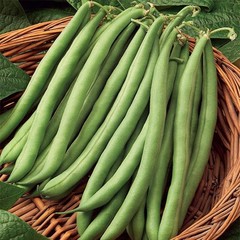 KENTUCKY WONDER POLE Bean Seeds, Heirloom Seeds – NON GMO, A kitchen favorite.
