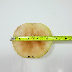 Antique Italian Alabaster Stone Half Apple w/ Wedge Slice Trinket Bowl Sculpture