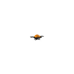 Weber Q1200 Liquid Propane Grill (Orange)