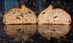 VERIFIED Sourdough Starter Heritage San Francisco – Live 200yrs Old BEST SELLER!