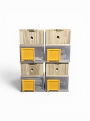 Bees N Things Carpenter Bee Hanging Insect Trap with 15 ft. Coverage (Lot of 4)