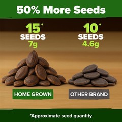Organic Watermelon Seeds Non-GMO Heirloom for Home Gardens – Citrullus lanatus