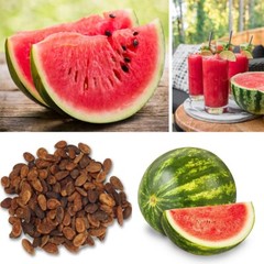 Watermelon Seeds Organic patilla Seeds Organic Citrullus lanatus 25 Seeds
