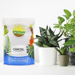 Horticultural Charcoal Plant Hardwood Soil Amendment Orchid Terrarium & Garden