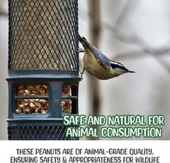 Snaky Mango Raw Peanuts in Shell – 1 Pounds – All-Natural Food for Squirrels,…