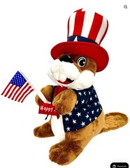 4 of July Buc-Ees 250 Years Of Freedom Blanket & Plush Set 50″x70″ Patriotic Des