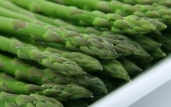 Ten Extra Large 3rd YEAR ASPARAGUS ROOTS