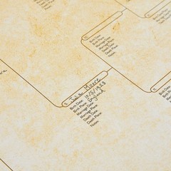 15 Pack Family Tree Charts to Fill in – Blank 8 Generation Genealogy Poster for
