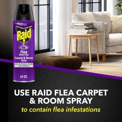 Raid Flea Killer Carpet & Room Spray, Kills hatching 16 Ounce (Pack of 1)